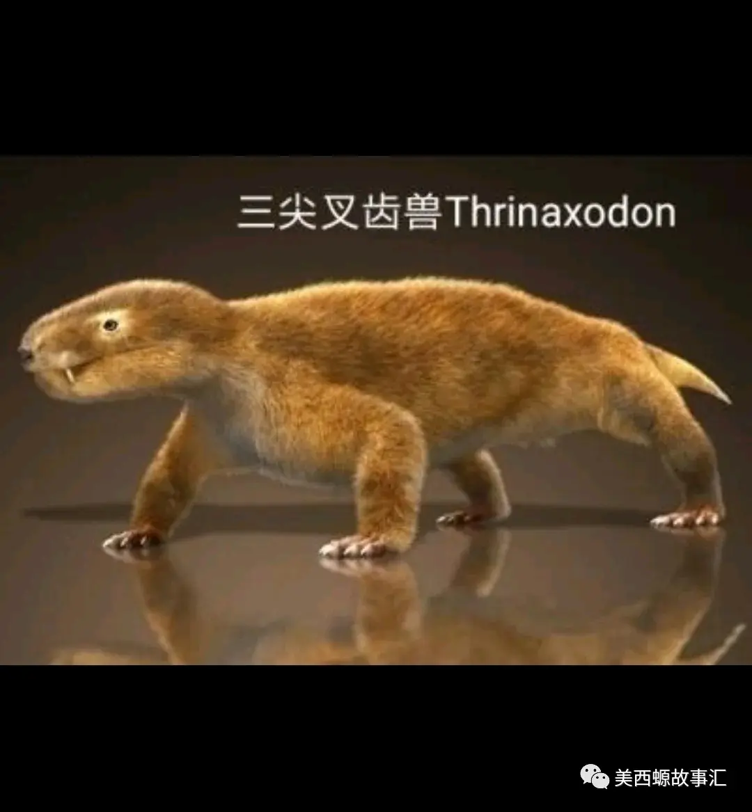 演化的故事:承上启下(合弓纲_犬颌兽小目)