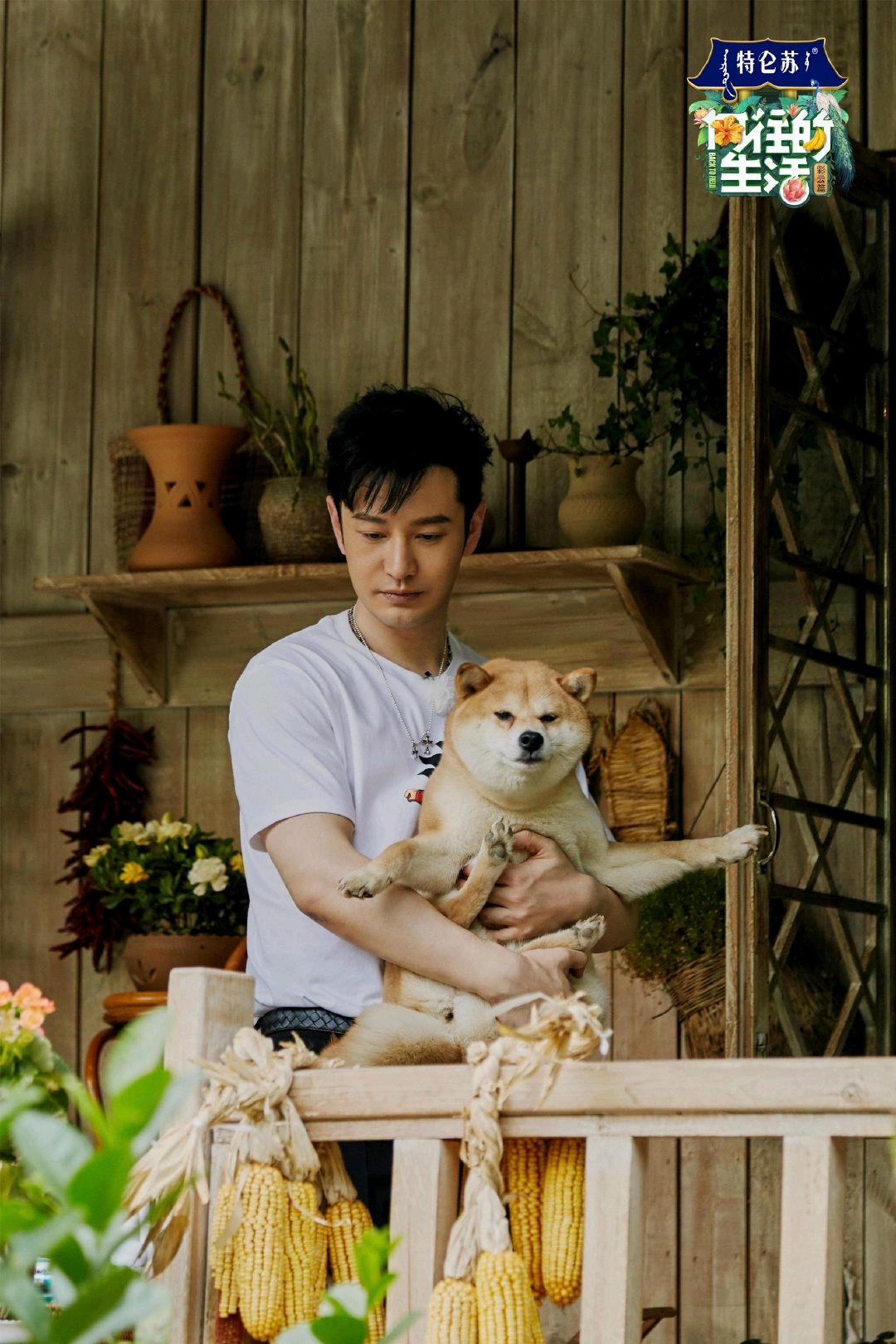 【《向往的生活》第四季】11,美图搬运,今晚见呀