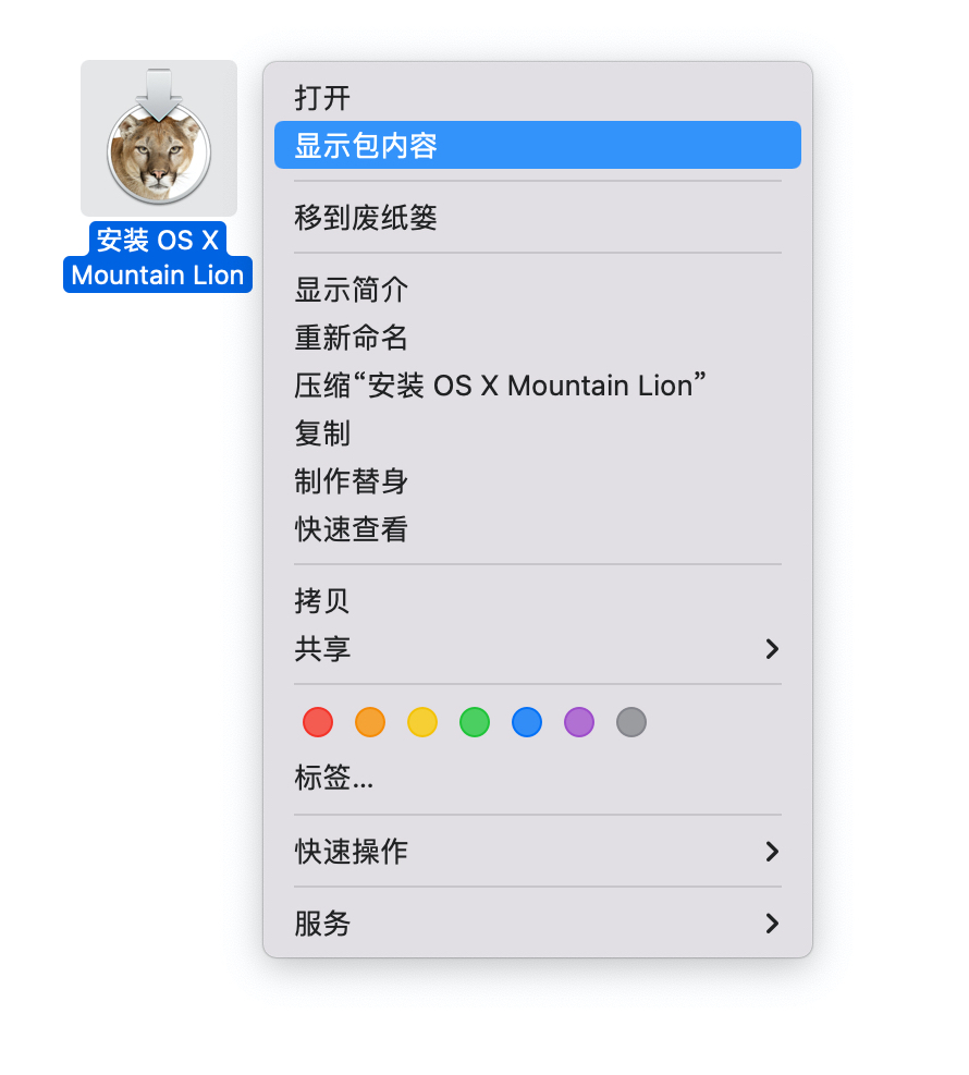  macos app dmg macos11 