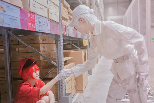 工作细胞cosplay合集(主推血小板)