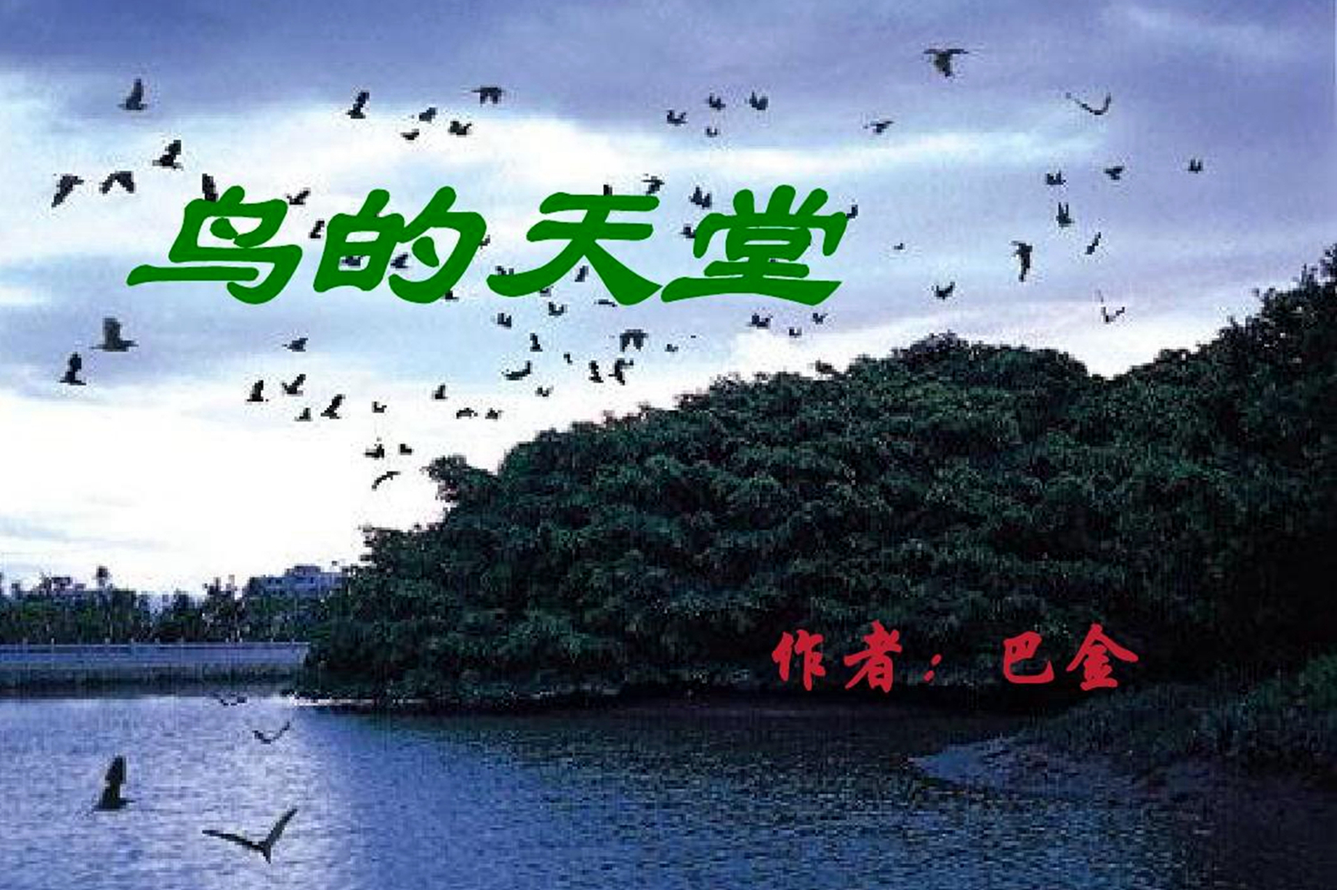 广东最神奇的生态景点，巴金写的“鸟的天堂”原来在这！你知道吗？