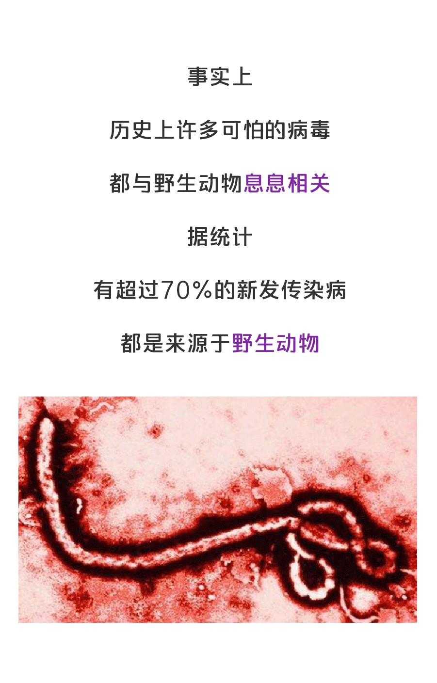 疫情之后人类能不能拒绝吃野味