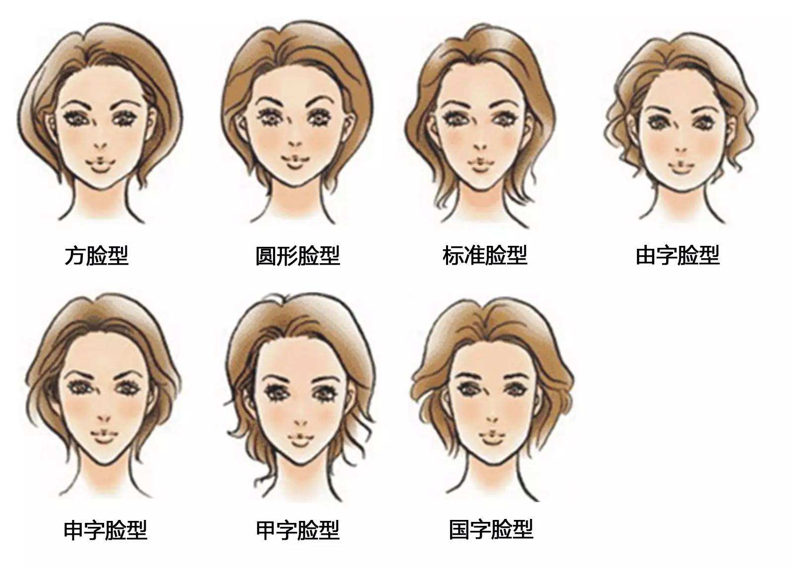 人的8种脸型,各种脸型适合的眉型,36种脸型图_大山谷图库