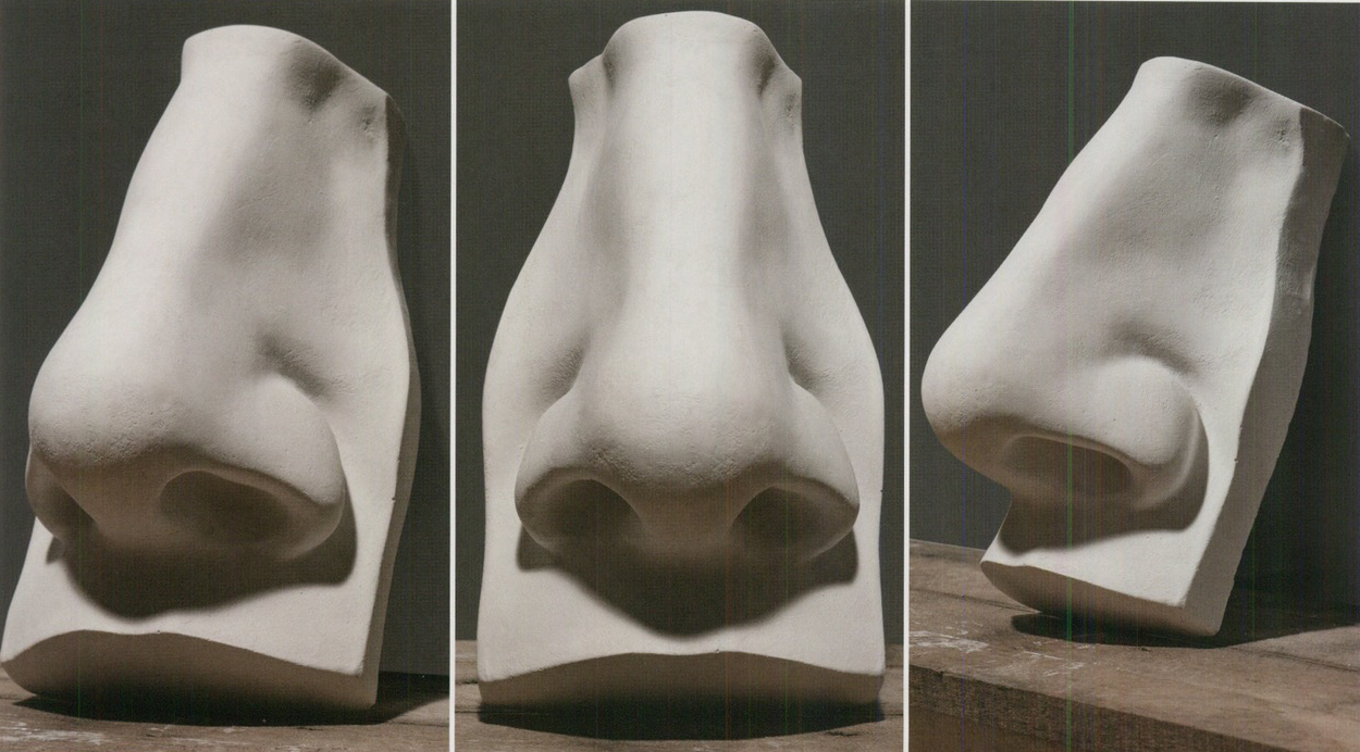 鼻头:又名鼻丘,为球体形肌肉,鼻头上的高光呈点状