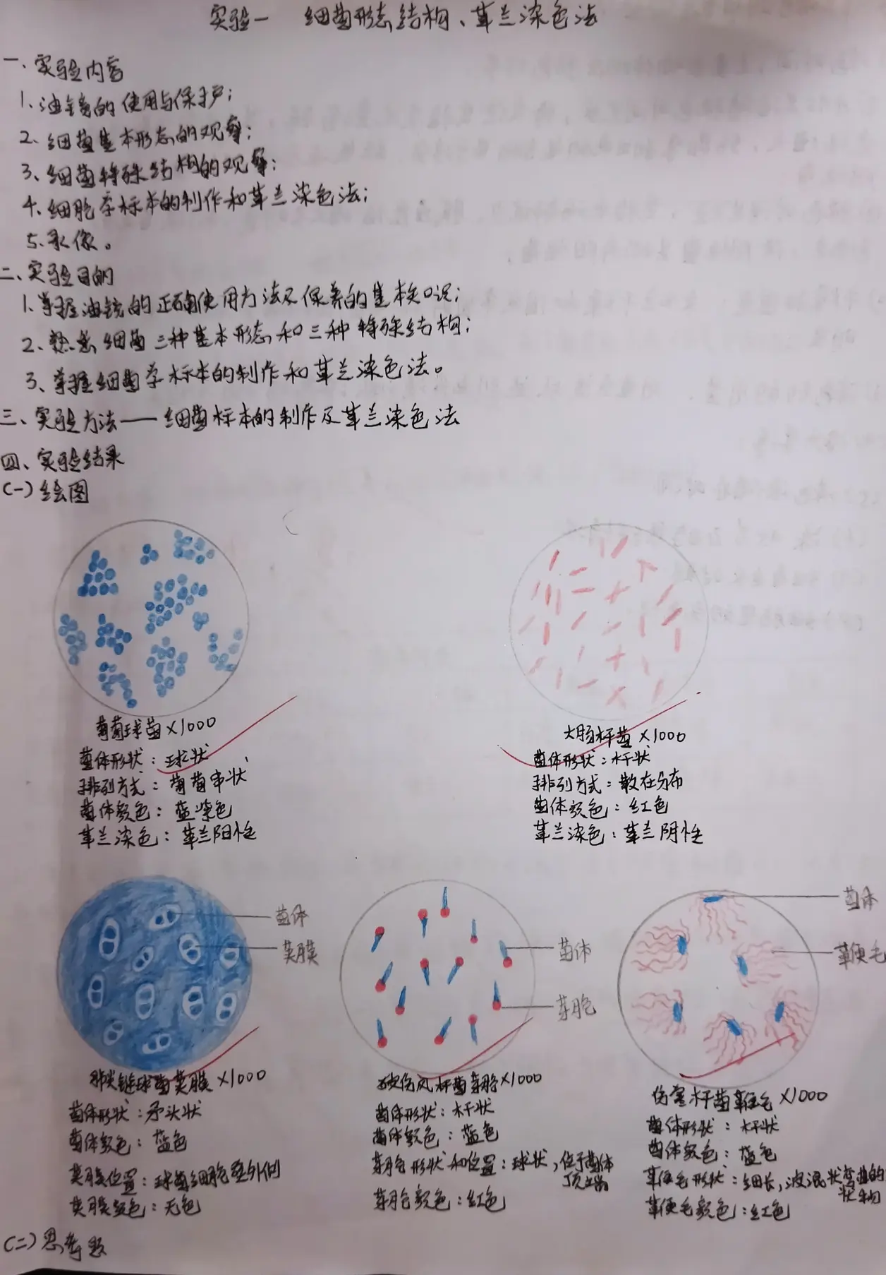 实验一:细菌形态结构,革兰染色法实验九:病例讨论(流脑-脑膜奈瑟菌)