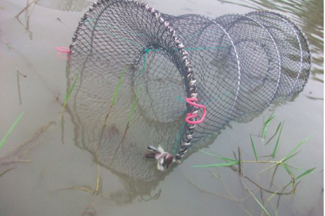 是甲鱼太狡猾还是你的方法没对?侠易垂钓装备给"捕鱼人"速取!