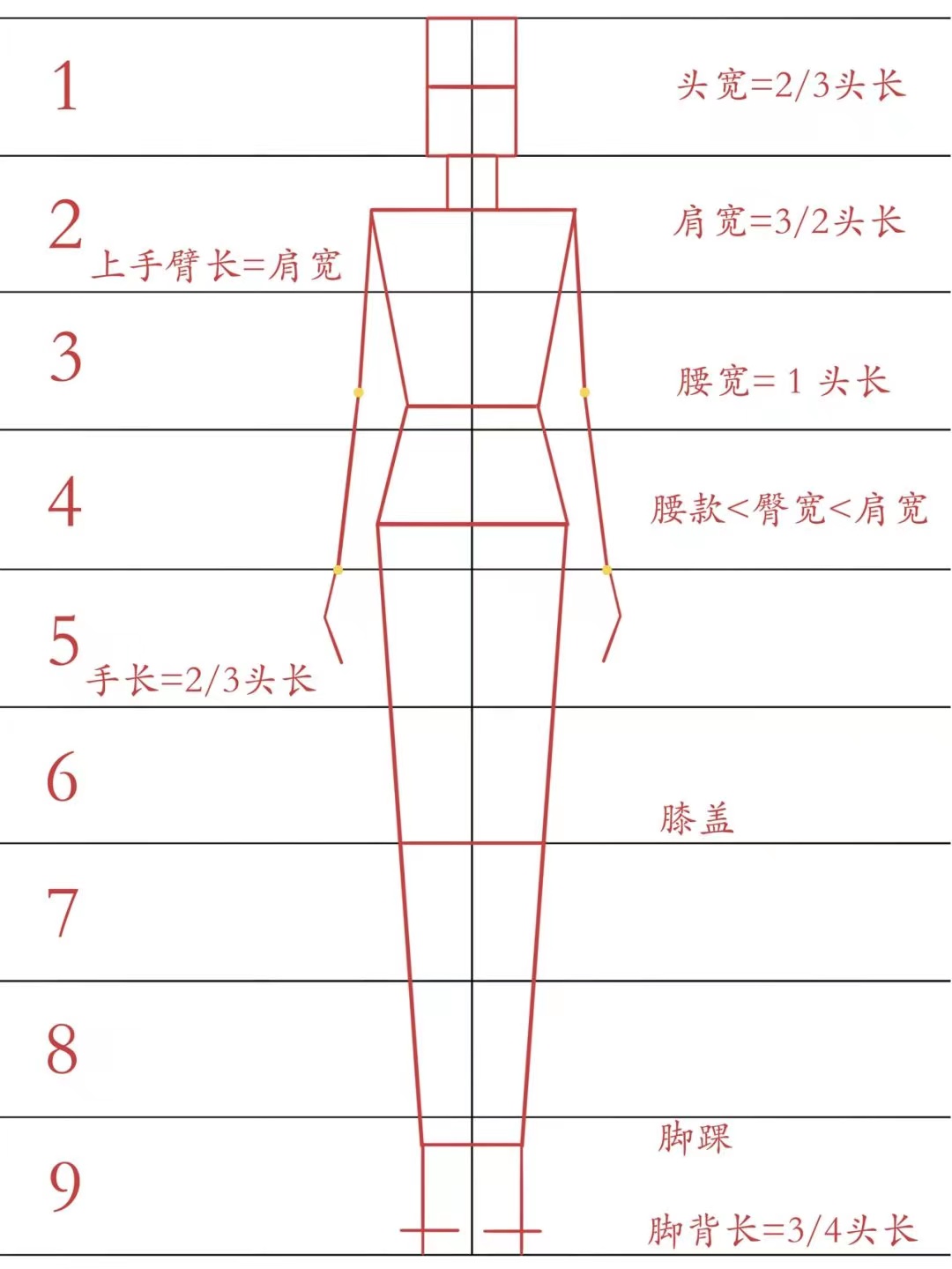 时装人体比例结构解析/九头身 - 哔哩哔哩