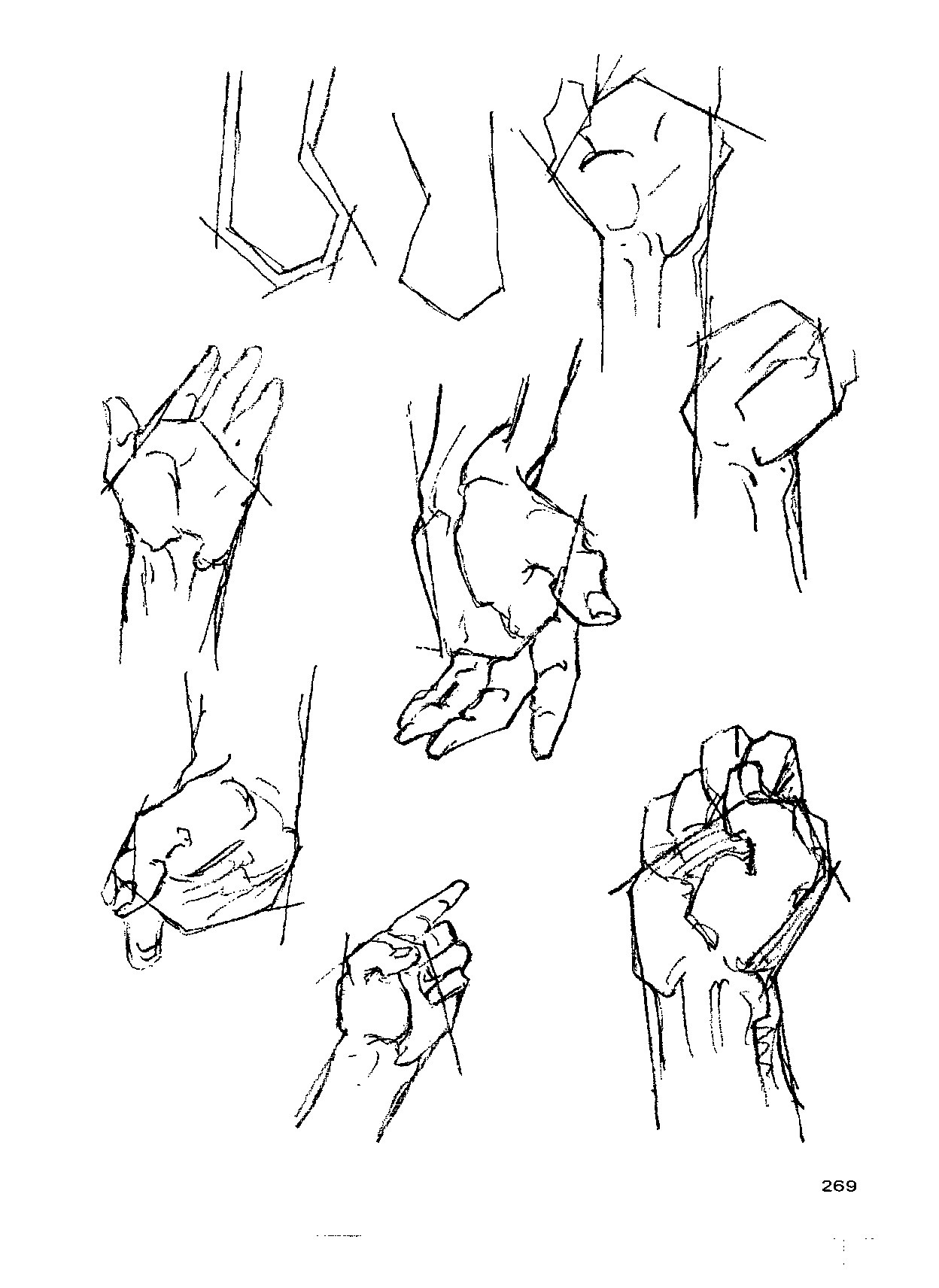 来跟仙儿菲一起研究"伯里曼"