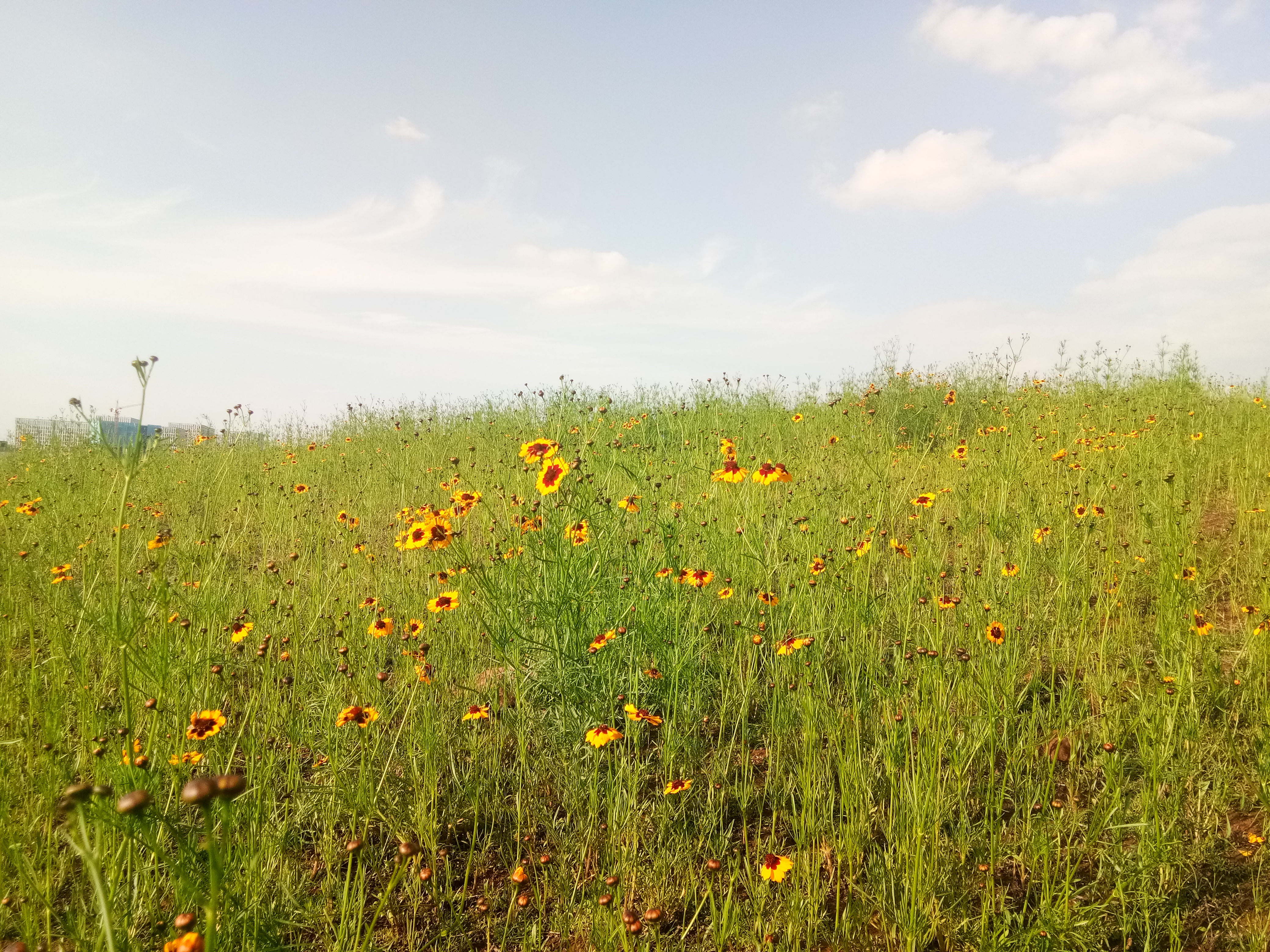 高考英语偷分技巧,不看后悔一辈子