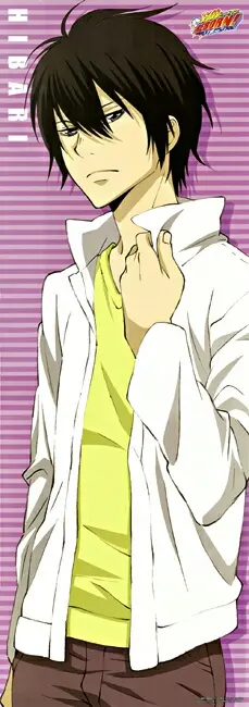 家庭教师hitman Reborn 人物介绍及补充 哔哩哔哩