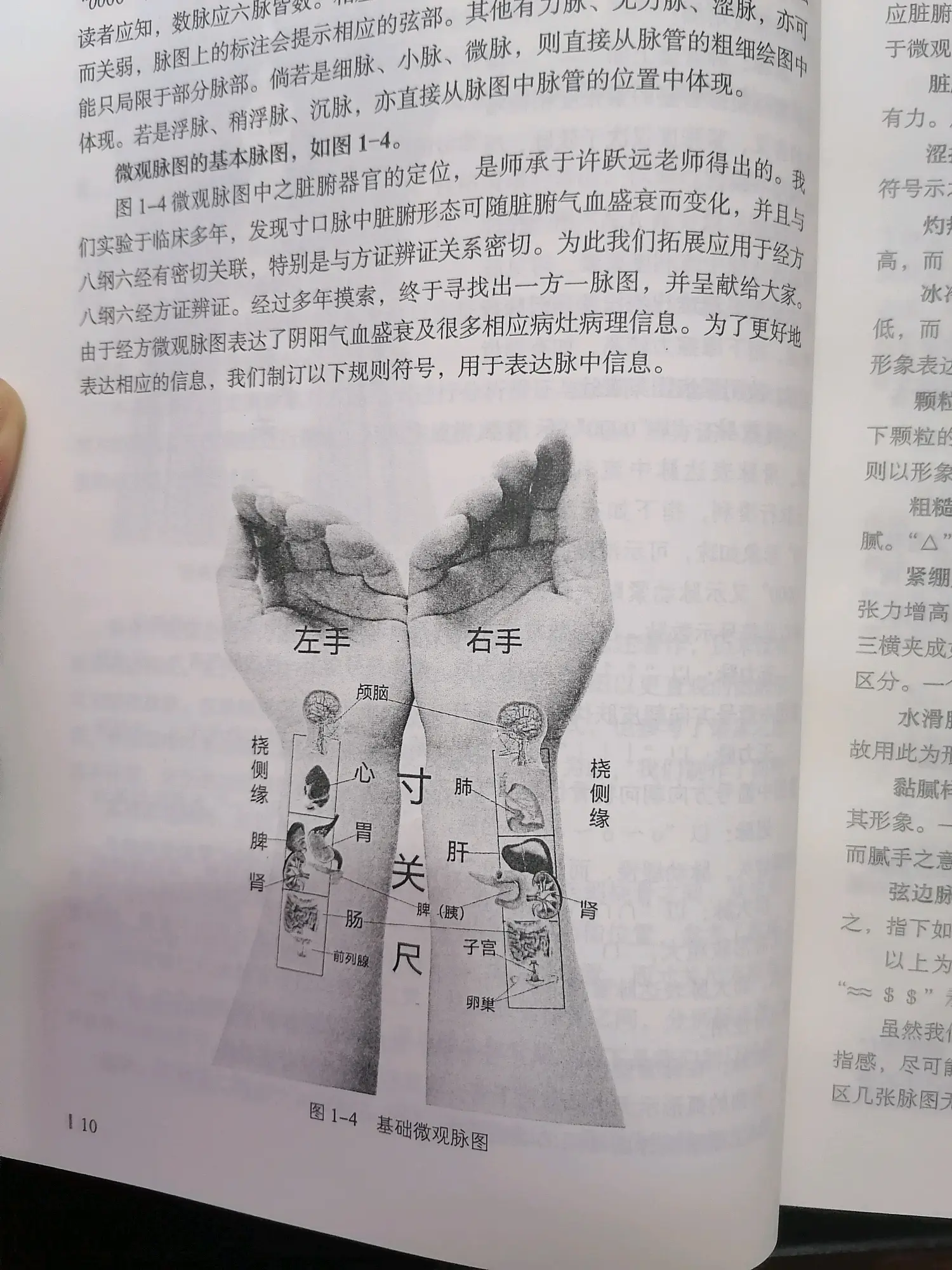 中医脉法,脉象及与疾病的关系我对此虽然研究了半辈子,但仍然觉得不到