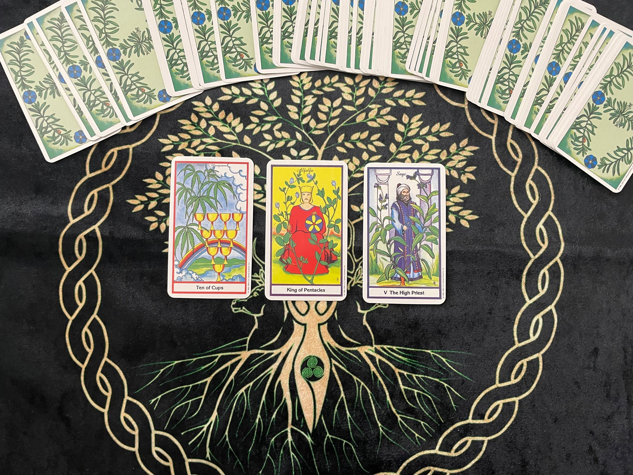 花梦塔罗:巨蟹座11月运势,财富源源不断,迅速脱单恋爱