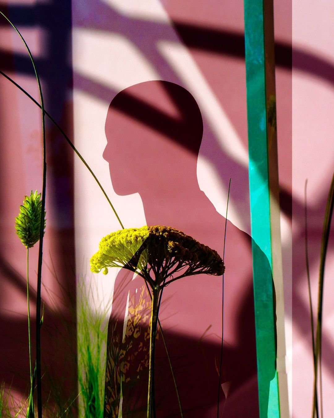 比较有名摄影师Craig Whitehead英国人文街头纪实摄影集赏析 哔哩哔哩