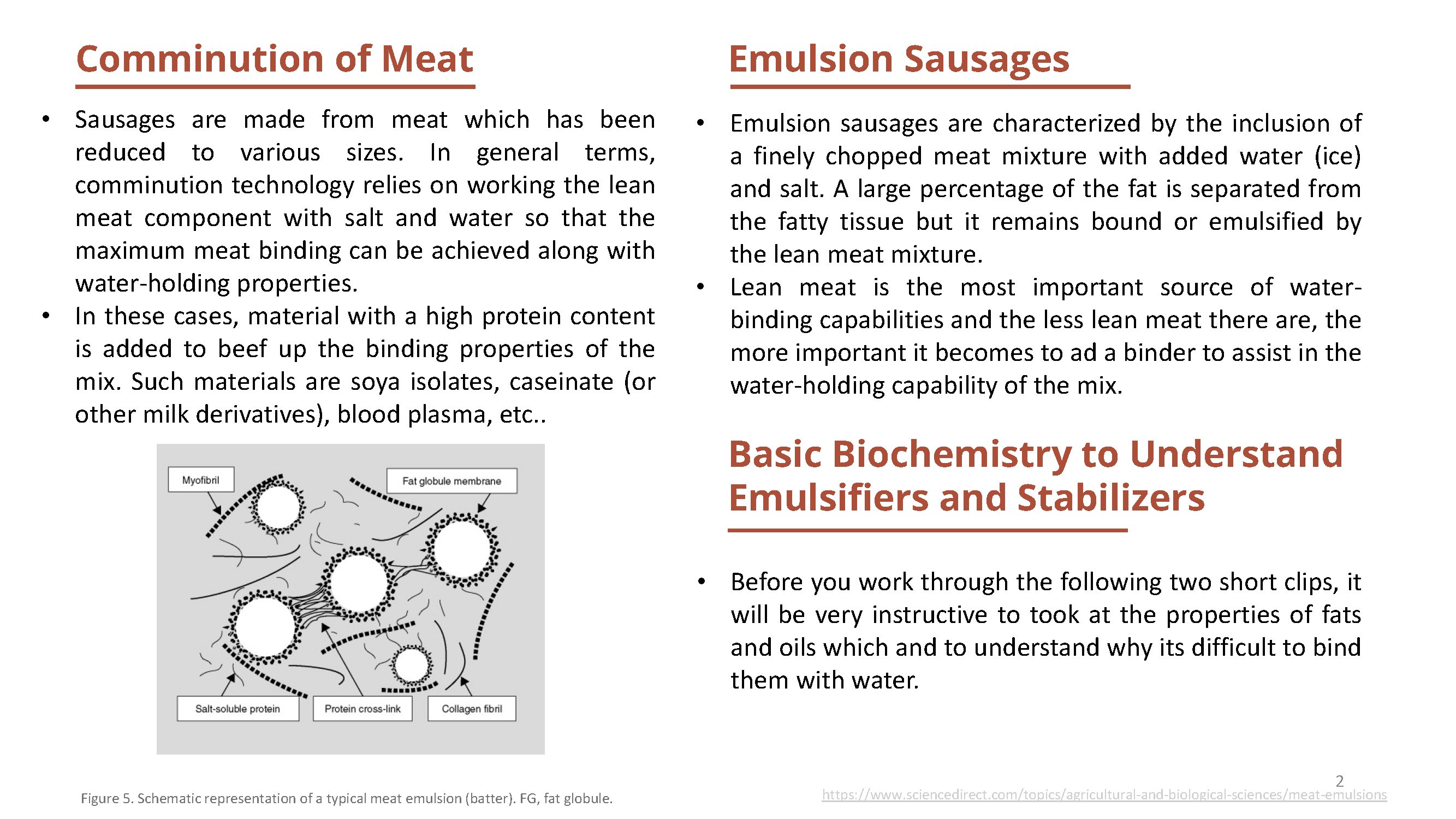 乳化肠简介（Introduction to emulsified sausages） 哔哩哔哩