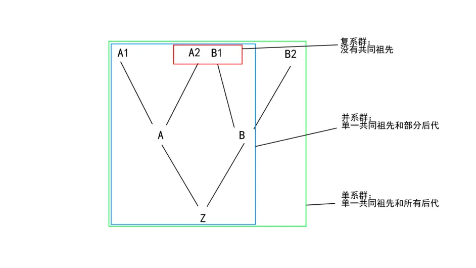 浅谈动物分类学 哔哩哔哩