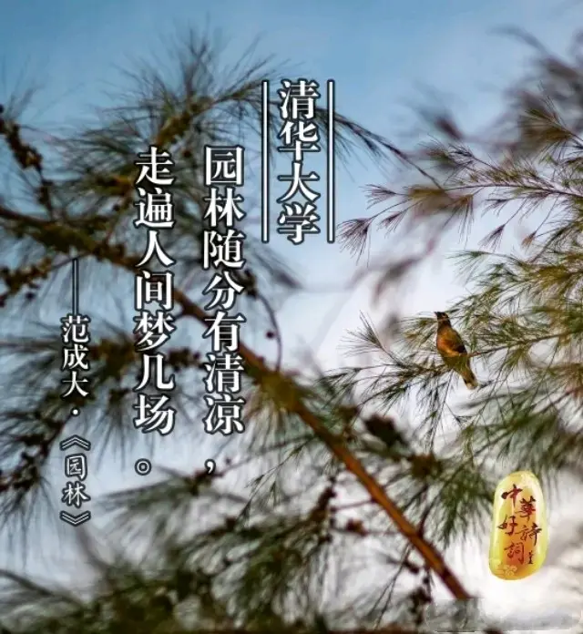 一所大学一首诗 你的母校 最适合配上哪一首古诗 哔哩哔哩