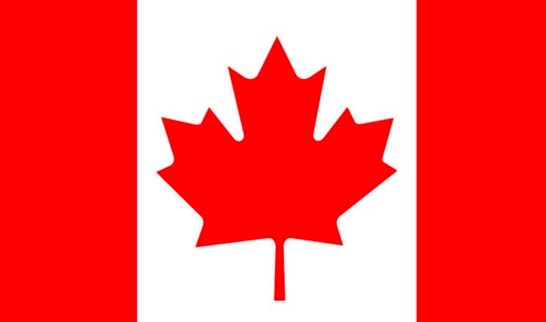 加拿大国旗 枫叶