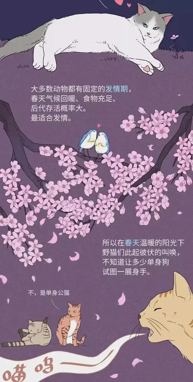 其他动物都有发情期为何人类全年无休2