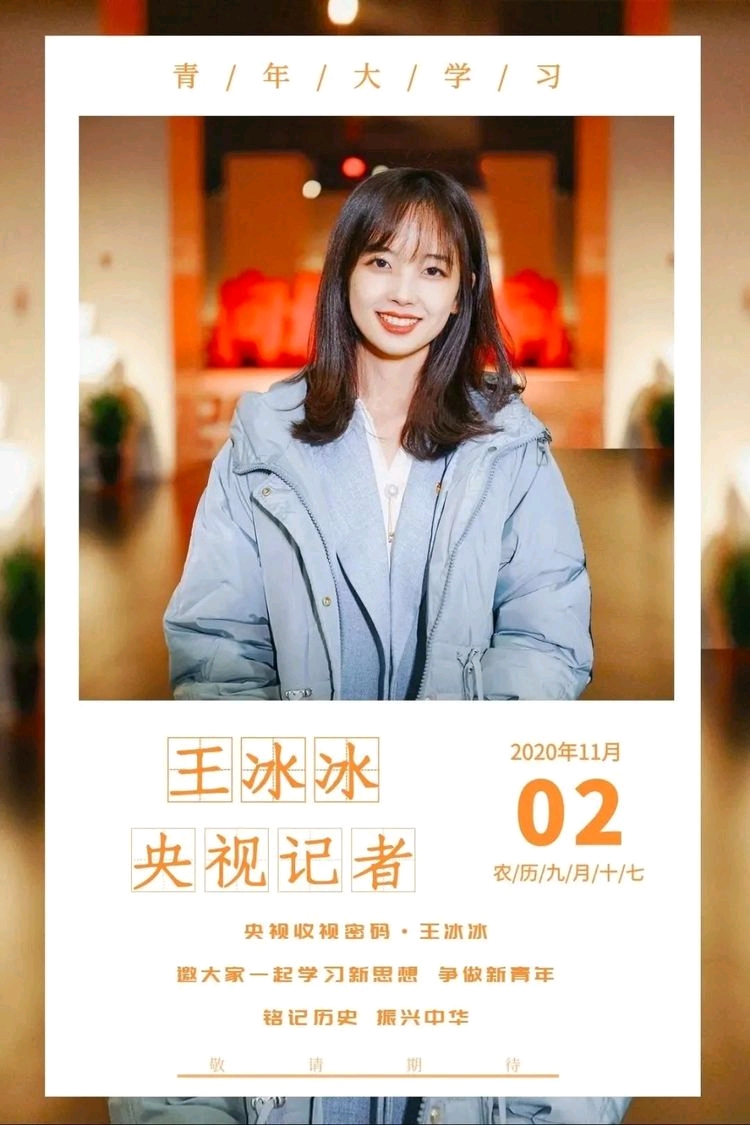 王冰冰央视最美女记者
