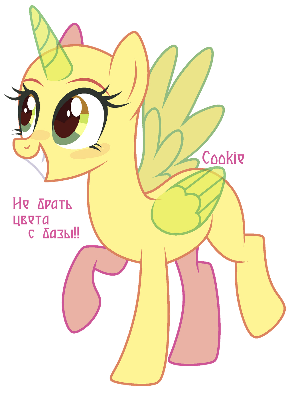 小马模板图集5!