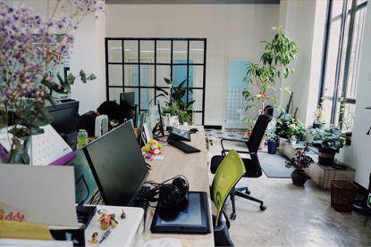 《刺客伍六七》动画团队(小疯映画)招人啦!