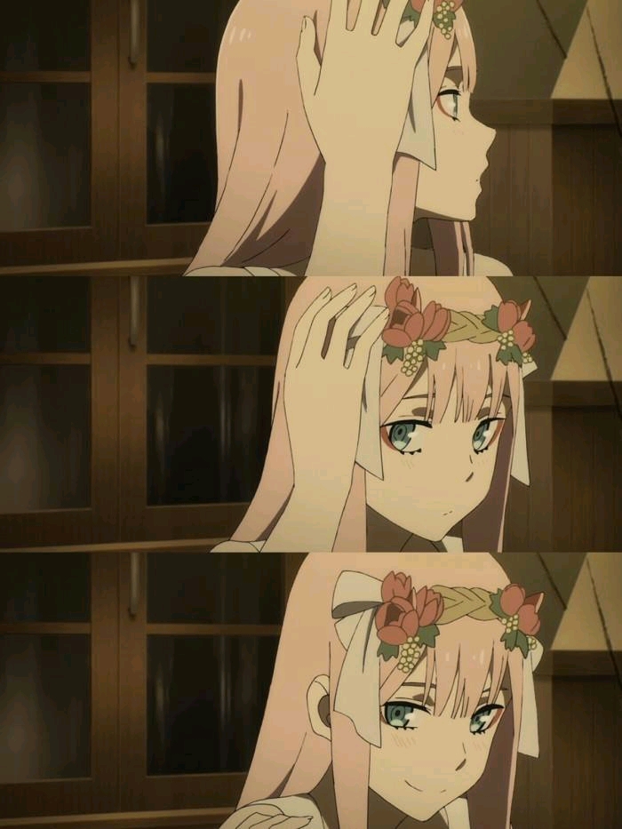 darling in the franxx 美图壁纸