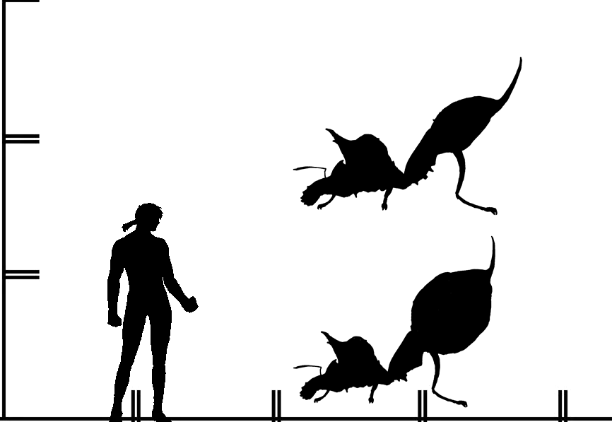 怪物猎人3怪物剪影比例图 哔哩哔哩