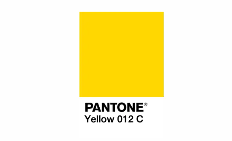 「adobe国际认证」让我困惑的颜色:什么是 pantone?