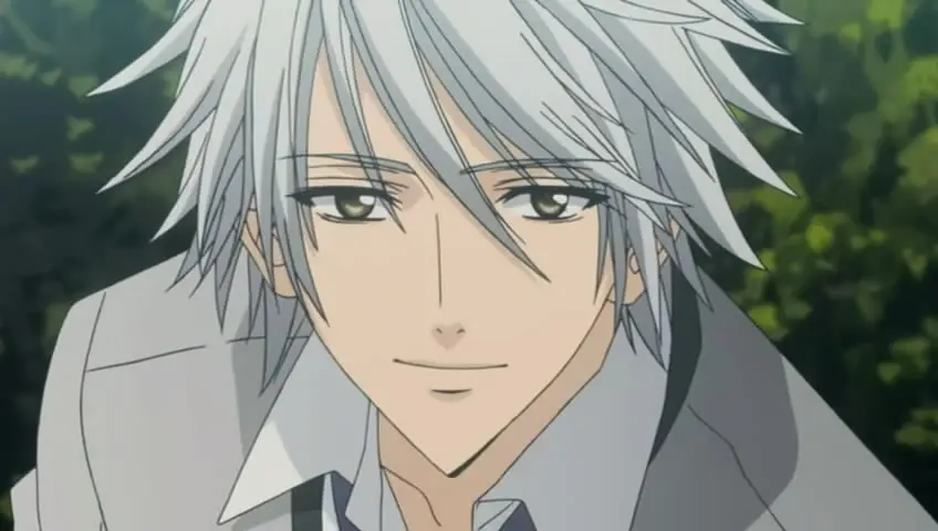 银发控福利 盘点动漫中10位自带发色buff的银发角色 哔哩哔哩