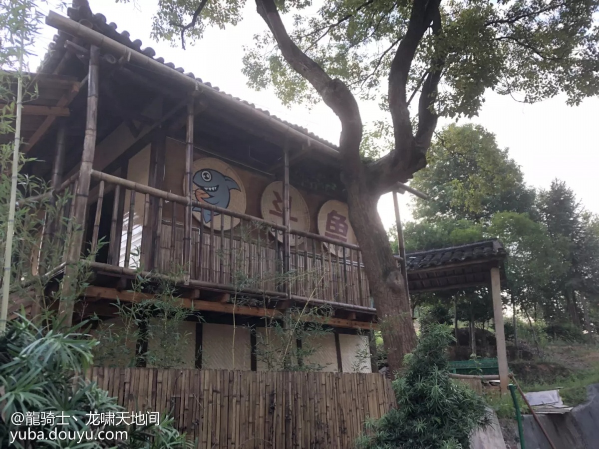 他为水友造了一个家,斗鱼神豪列传:龙啸天地间