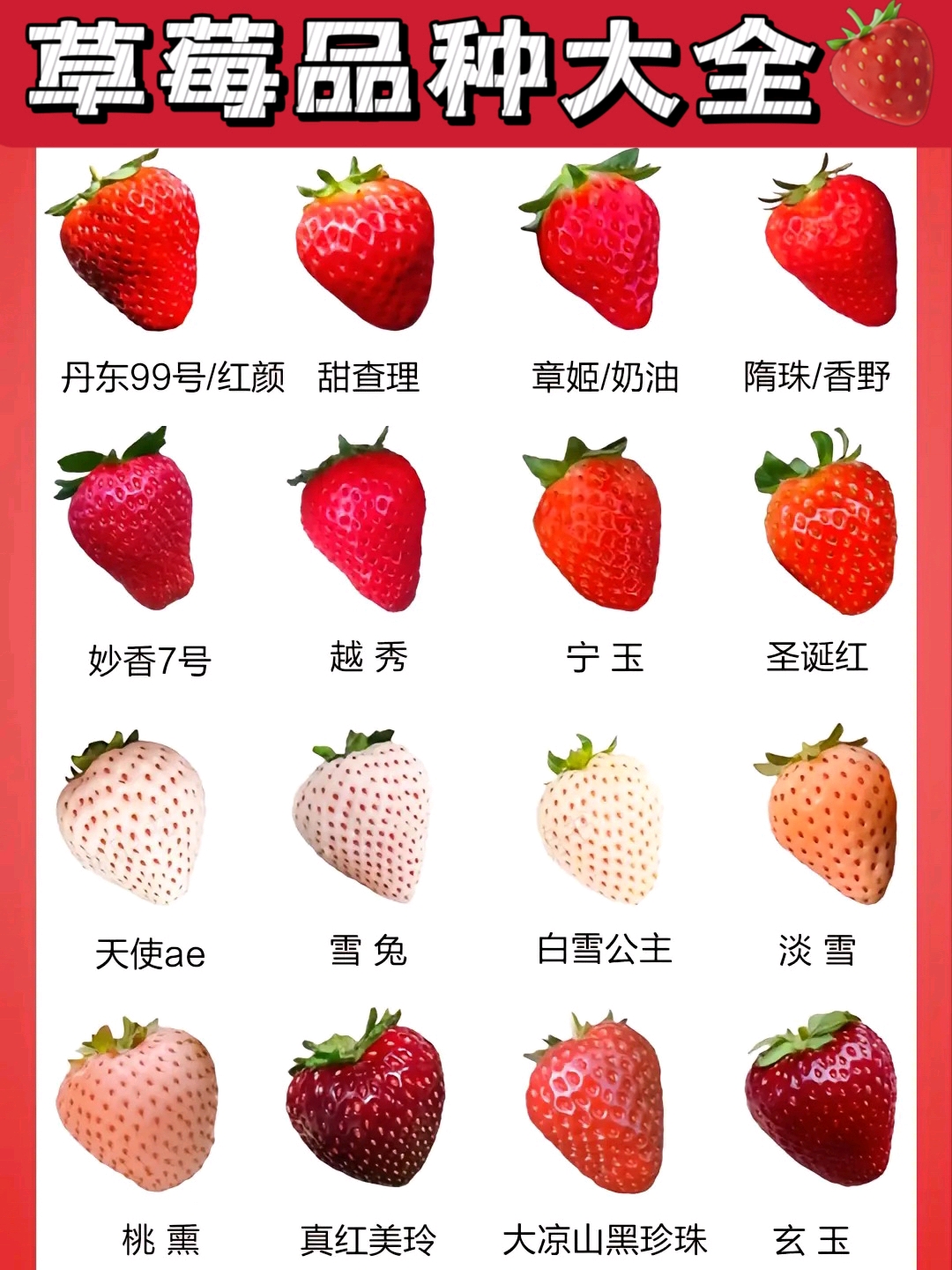 新鲜草莓这样吃保健又减肥？ - 草莓采摘园百科