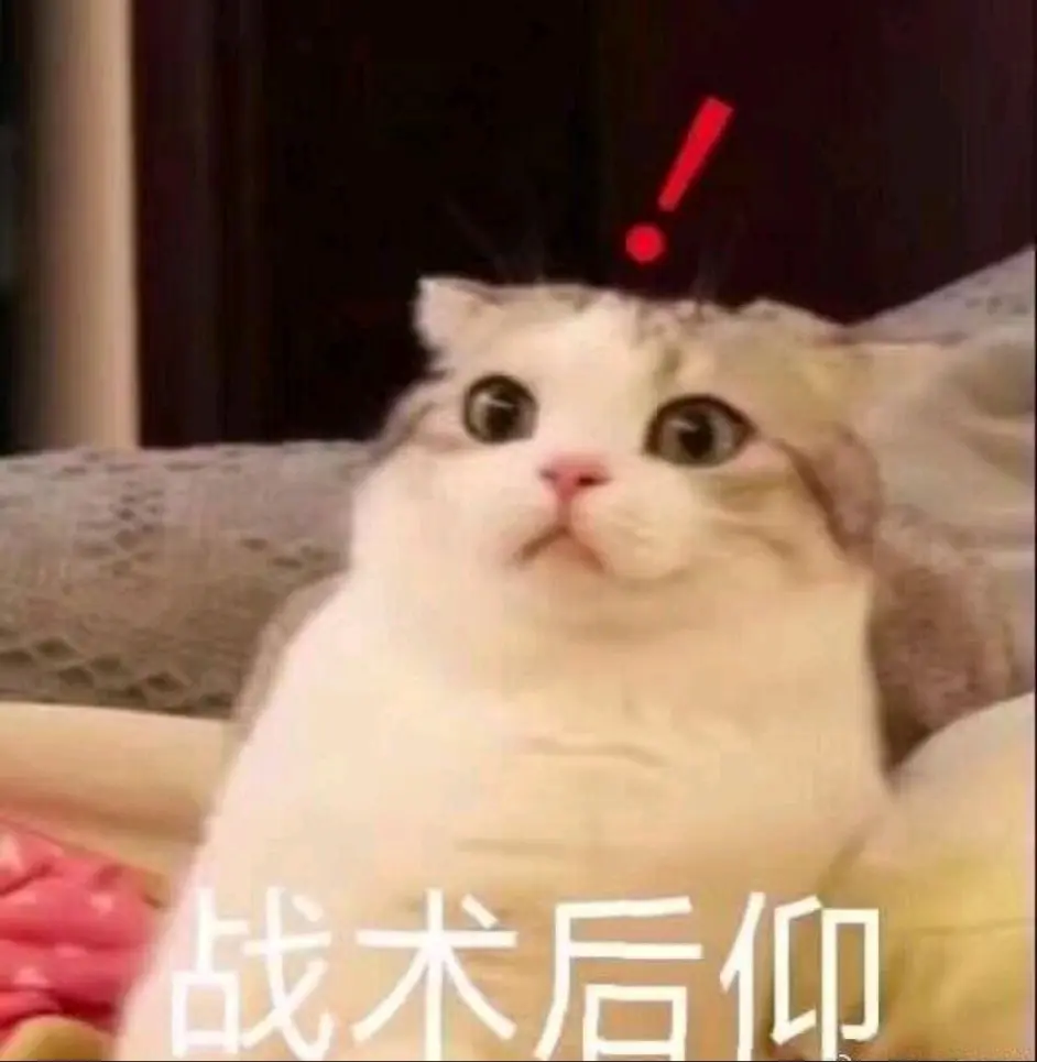 猫猫表情包第二弹 哔哩哔哩