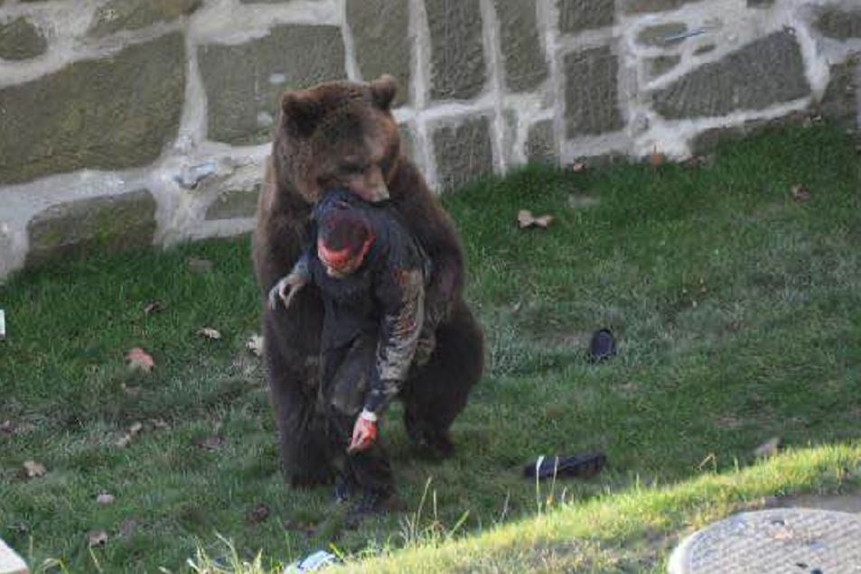 上海动物园熊吃人照片图片