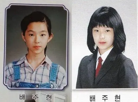 整形界公布男女星整容模板排名 女星第一神仙颜值 男星第一惊掉下巴 哔哩哔哩