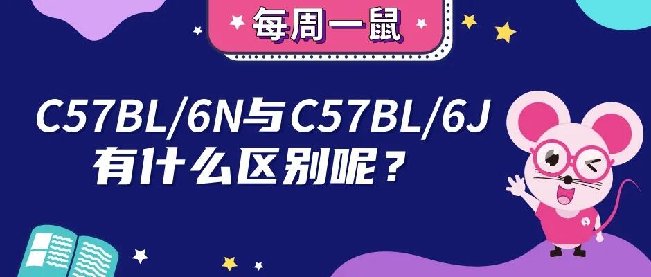 C57BL/6N与C57BL/6J小鼠的区别 - 哔哩哔哩
