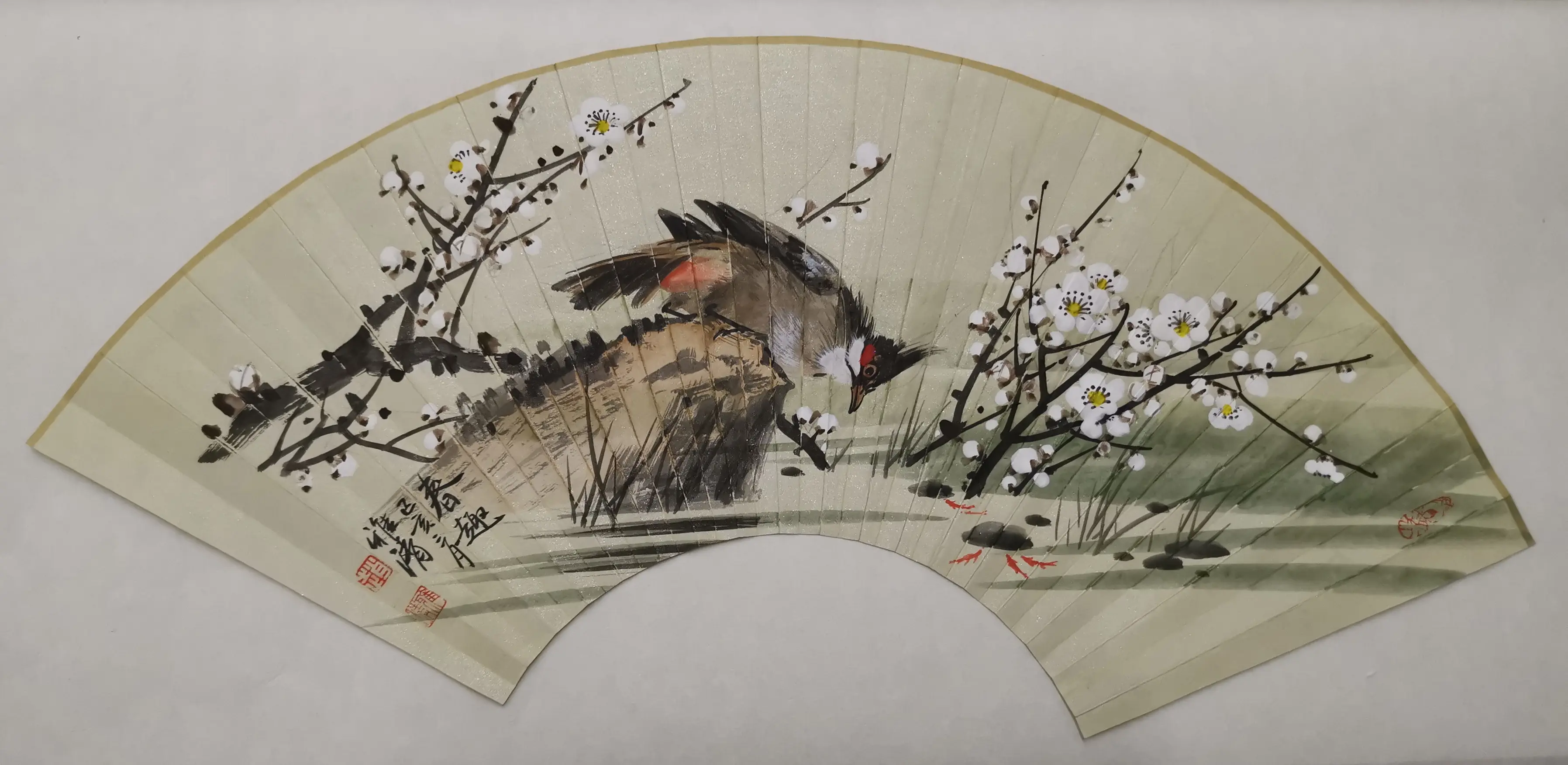 赵雅清10幅花鸟扇面,色彩鲜明,一幅更比一幅美