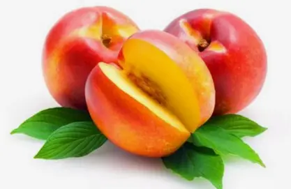 美国油桃进口清关知识分享