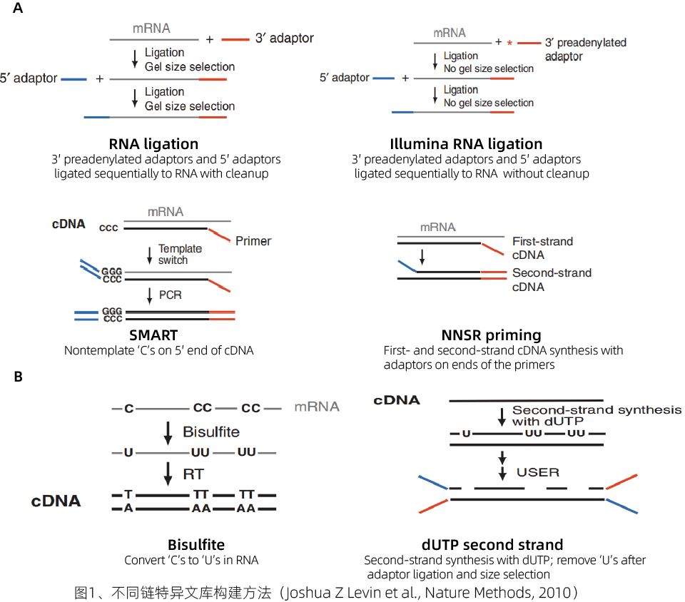  rna seq 