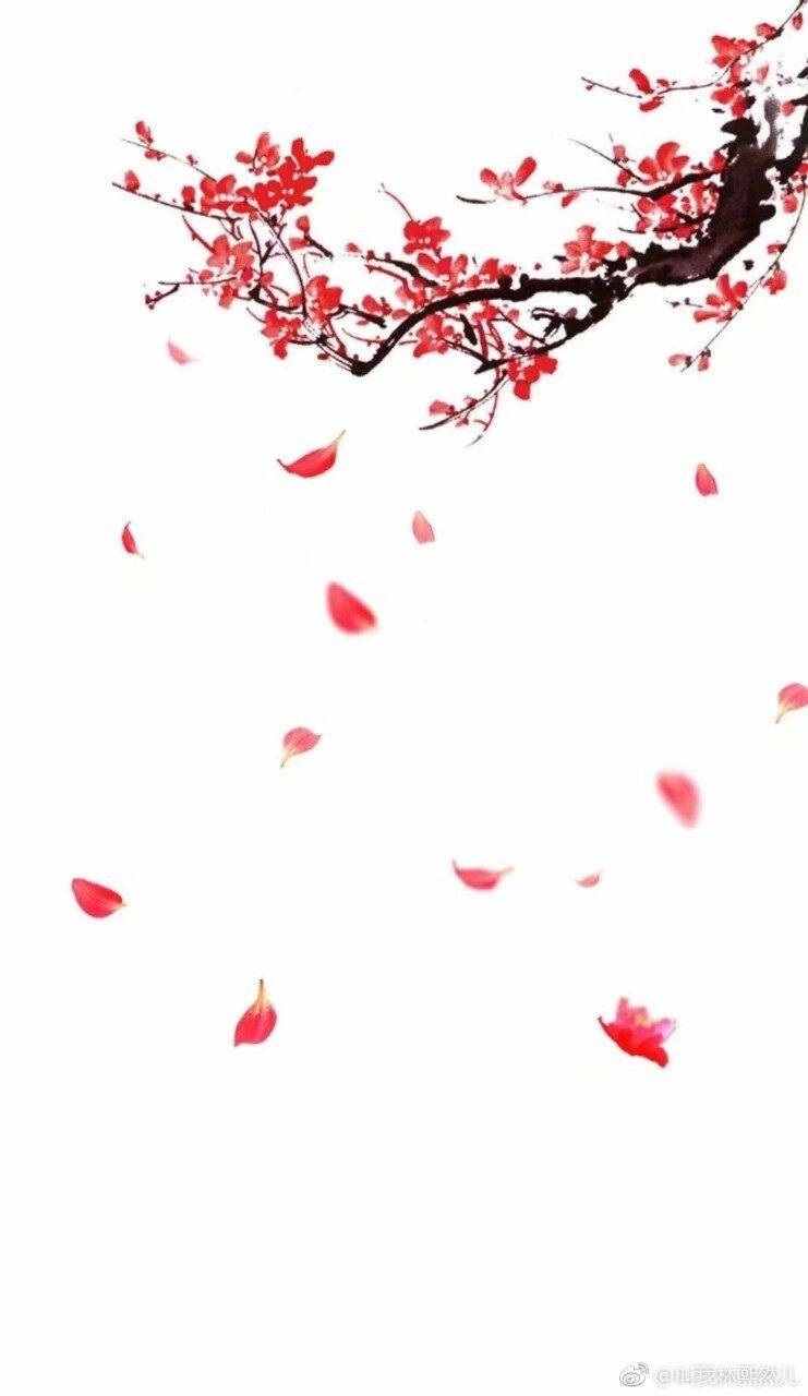 评《皇后生存日记》