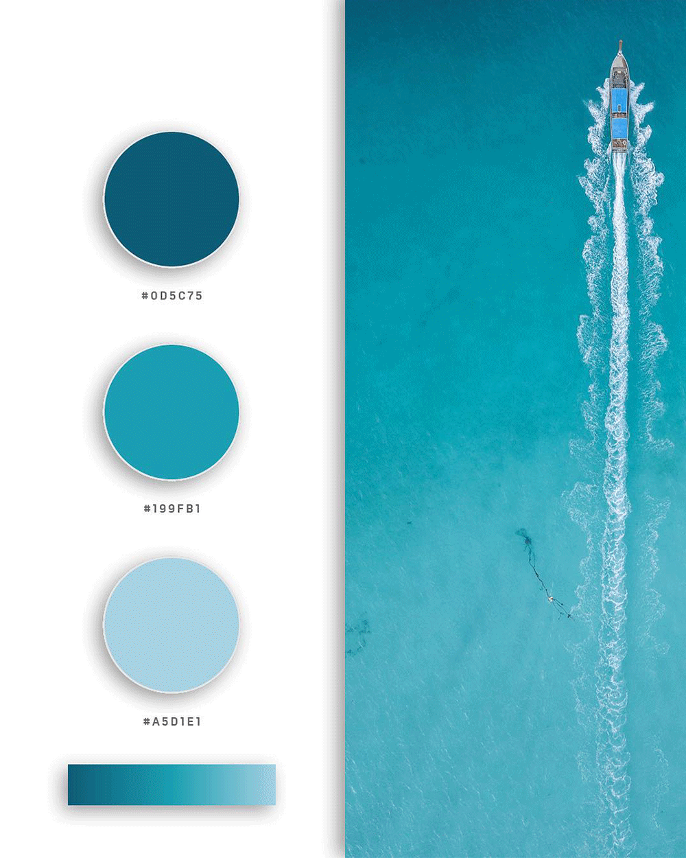 精美的色彩搭配方案三色