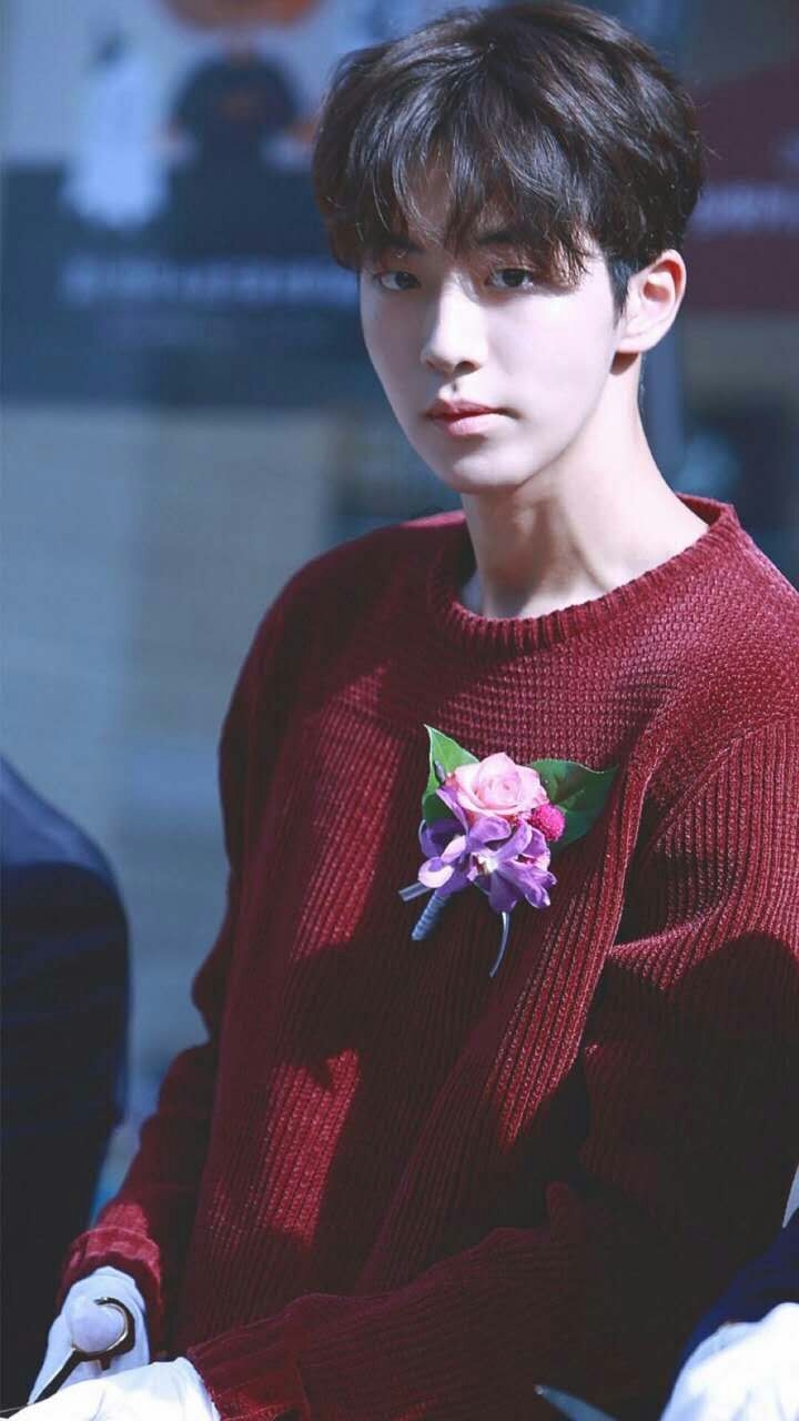 ins最火的十位男艺人