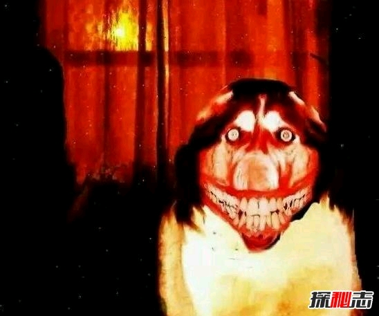 微笑狗是什么