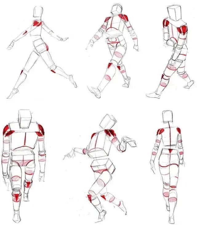 【画画素材资源库】人体素材,一招学会人体画法