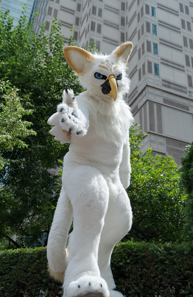 《鸟系》图集(二)