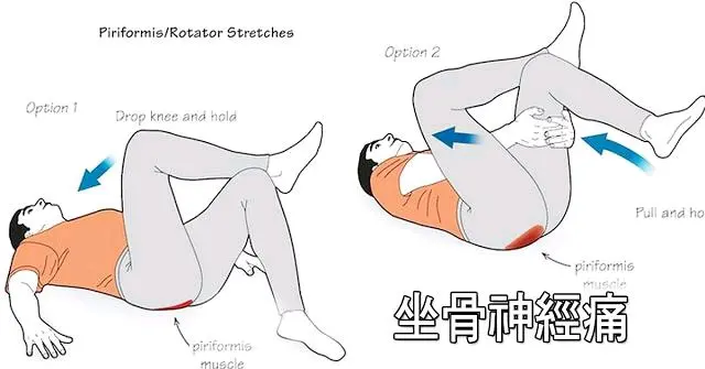 缓解 坐骨神经痛 简单的 6种动作 只要睡前10分钟 哔哩哔哩