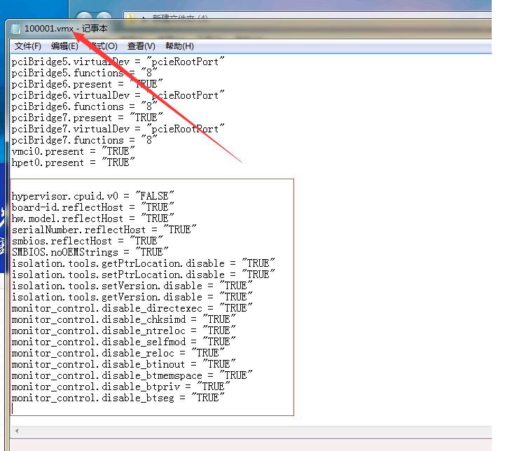 大话西游虚拟机绕过检测VMP SE TP VM独立硬件 哔哩哔哩