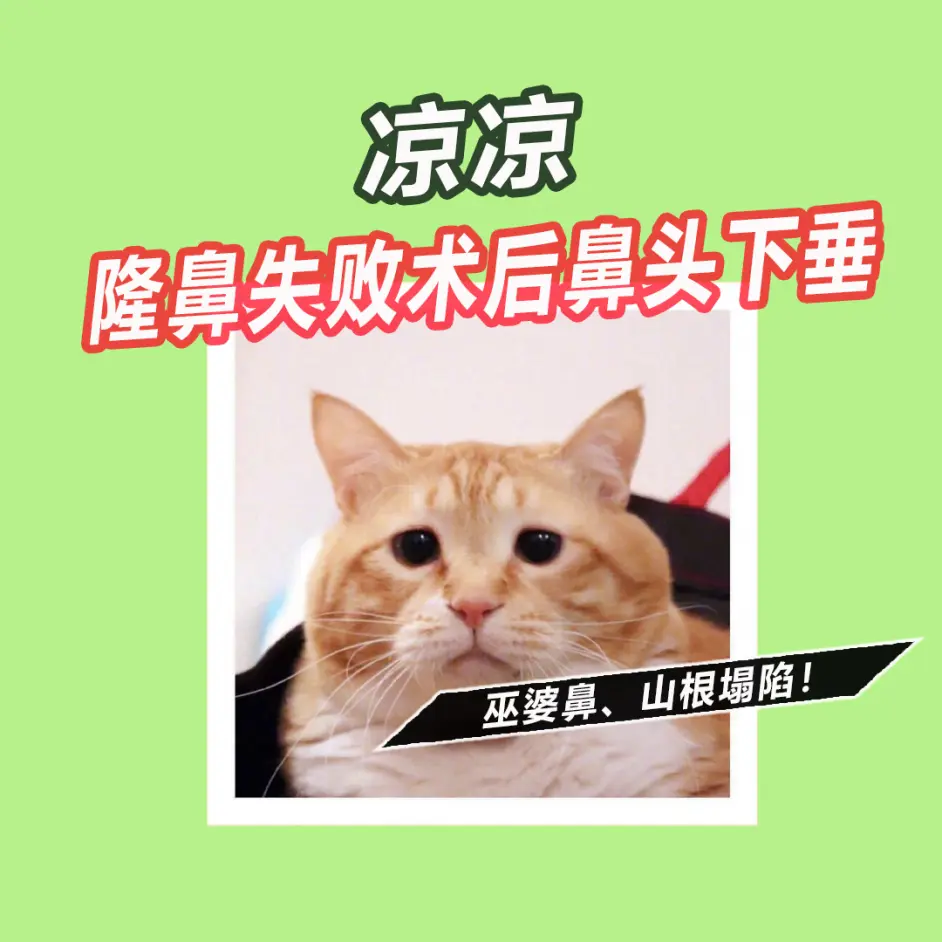 整鼻子有多少人后悔的难消肿 假体外露 增生凸起 疤痕 哔哩哔哩
