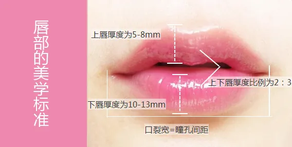 唇部美学标准和形状分类——邢台李学英健康科普 - 哔哩哔哩