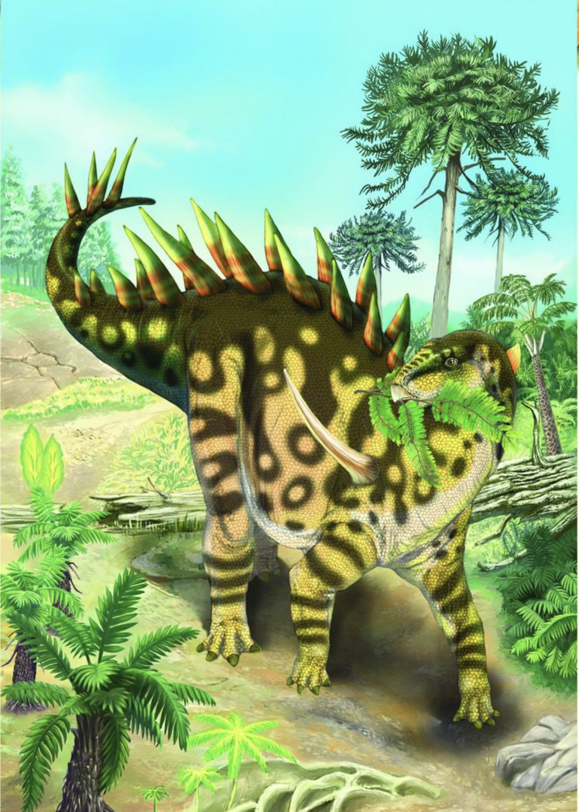 【科普】华阳龙:剑客之祖