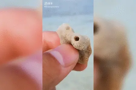 科普圈顶流与水猴子的恩怨情仇专访无穷小亮